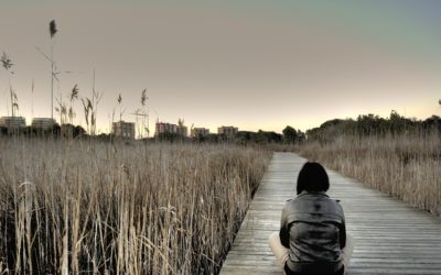 PRINCIPIO DE CAUSA – EFECTO: Toda causa tiene su efecto, y todo efecto su causa.
