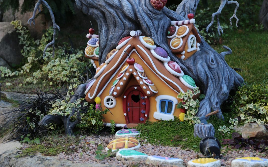 ¿Cuál es tu sueño?