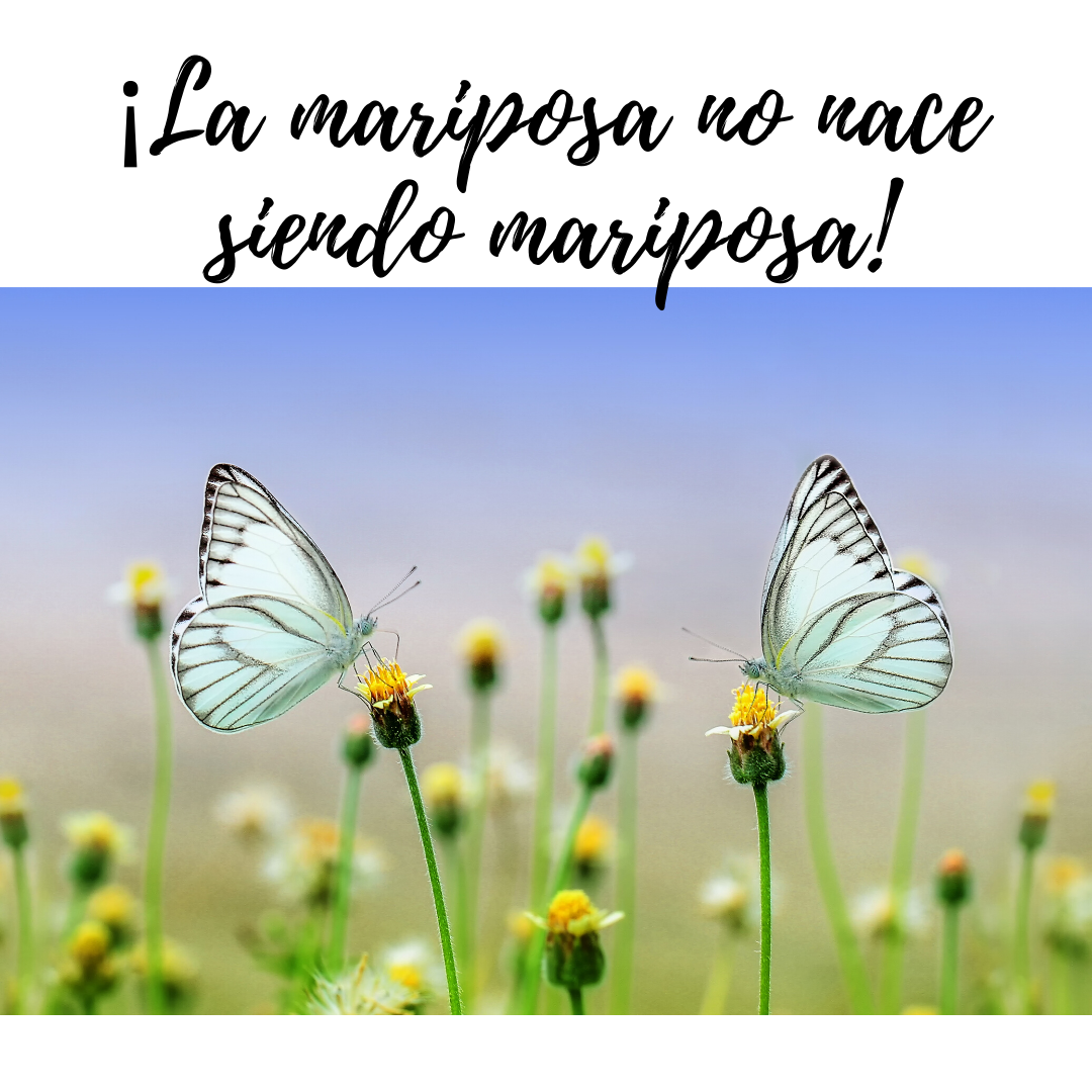Ejercicio 4 Causa y Efecto – ¿POR QUÉ ESTE RESULTADO?