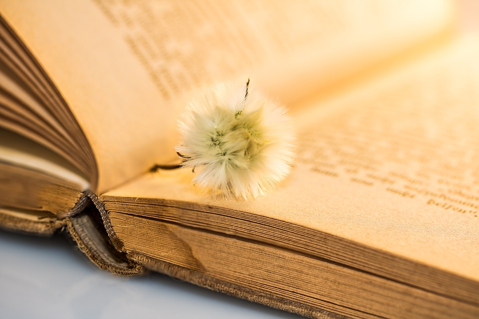 CÓMO ES UNA LECTURA DE REGISTROS AKÁSHICOS
